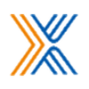 Xingchi Platinum Chi V Series