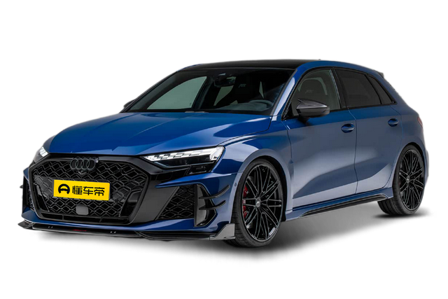 RS 3
