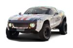 RALLY FIGHTER
